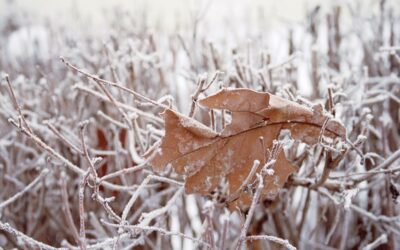 Frostempfindlichkeit von Böden – Bebauung und Schutz